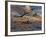 B-17 Flying Fortress Bombers and P-51 Mustangs in Flight-Stocktrek Images-Framed Photographic Print