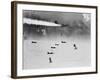 B-17 Planes Flying-null-Framed Photographic Print