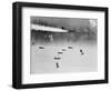 B-17 Planes Flying-null-Framed Photographic Print