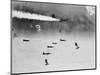 B-17 Planes Flying-null-Mounted Photographic Print