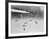 B-17 Planes Flying-null-Framed Photographic Print