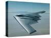 B-2 Bomber-null-Stretched Canvas