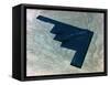 B-2 Bomber-null-Framed Stretched Canvas