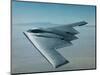 B-2 Bomber-null-Mounted Photographic Print