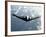 B-2 Spirit Bomber-Stocktrek Images-Framed Photographic Print