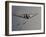 B-2 Spirit Flies over the Pacific Ocean-null-Framed Photographic Print