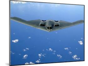 B-2 Spirit-Stocktrek Images-Mounted Photographic Print