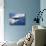 B-2 Spirit-Stocktrek Images-Mounted Photographic Print displayed on a wall