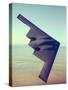 B-2 Stealth Bomber Flying over Desert-Like Landscape-null-Stretched Canvas