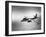 B-45 Bomber in Flight-null-Framed Photographic Print