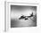 B-45 Bomber in Flight-null-Framed Photographic Print