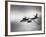 B-45 Bomber in Flight-null-Framed Photographic Print