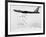 B-52 Bomber-Science Source-Framed Giclee Print