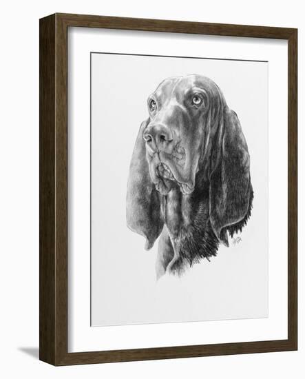 B and T Coonhound-Barbara Keith-Framed Giclee Print