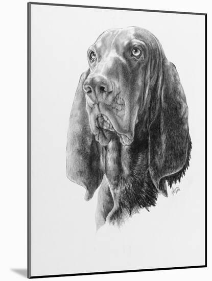 B and T Coonhound-Barbara Keith-Mounted Giclee Print