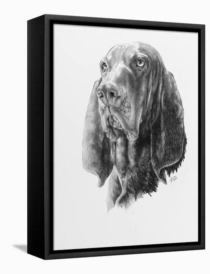 B and T Coonhound-Barbara Keith-Framed Stretched Canvas