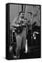 B.B. King, Capital Jazz, Knebworth, 1982-Brian O'Connor-Framed Stretched Canvas