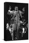 B.B. King, Capital Jazz, Knebworth, 1982-Brian O'Connor-Framed Stretched Canvas