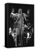 B.B. King, Capital Jazz, Knebworth, 1982-Brian O'Connor-Framed Stretched Canvas