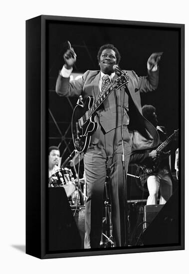 B.B. King, Capital Jazz, Knebworth, 1982-Brian O'Connor-Framed Stretched Canvas