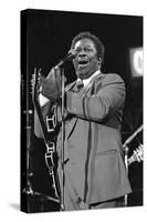 B.B. King, Capital Jazz, Knebworth, 1982-Brian O'Connor-Stretched Canvas