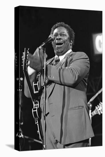 B.B. King, Capital Jazz, Knebworth, 1982-Brian O'Connor-Stretched Canvas