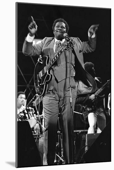 B.B. King, Capital Jazz, Knebworth, 1982-Brian O'Connor-Mounted Photographic Print