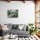 B.C., a 3-Year-Old Alpaca, at the Nu Leafe Alpaca Farm in West Berlin, Vermont-Toby Talbot-Photographic Print displayed on a wall