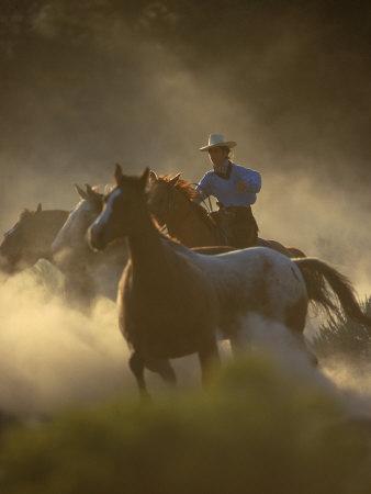 Cowgirl Rounding-Up Wild Horses, OR