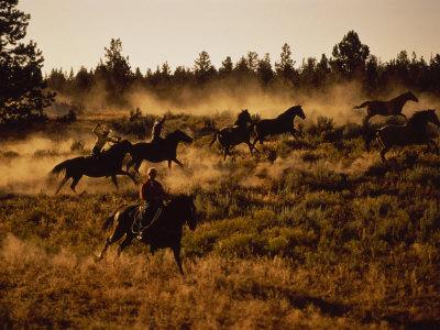 Wild Horse Roundup, OR