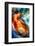 B (Colorful Abstract)-Ursula Abresch-Framed Photographic Print