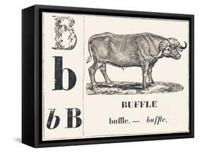 B for Buffalo, 1850 (Engraving)-Louis Simon (1810-1870) Lassalle-Framed Stretched Canvas