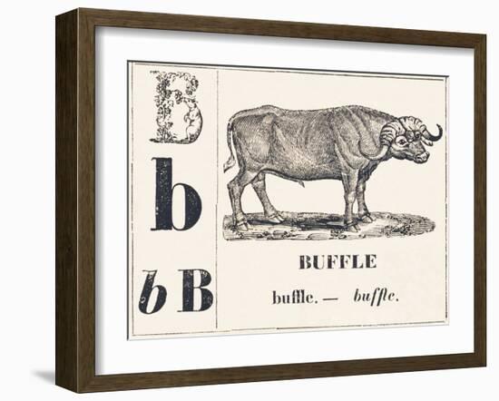 B for Buffalo, 1850 (Engraving)-Louis Simon (1810-1870) Lassalle-Framed Giclee Print