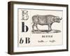 B for Buffalo, 1850 (Engraving)-Louis Simon (1810-1870) Lassalle-Framed Giclee Print