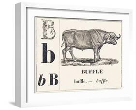 B for Buffalo, 1850 (Engraving)-Louis Simon (1810-1870) Lassalle-Framed Giclee Print