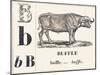 B for Buffalo, 1850 (Engraving)-Louis Simon (1810-1870) Lassalle-Mounted Giclee Print