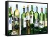 B&G Bottles II-Heather French-Roussia-Framed Stretched Canvas