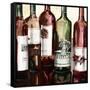 B&G Bottles Square II-Heather French-Roussia-Framed Stretched Canvas