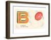 B is a Balloon-null-Framed Art Print