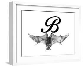 B is for Bat-Stacy Hsu-Framed Art Print