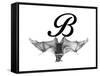 B is for Bat-Stacy Hsu-Framed Stretched Canvas