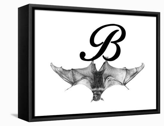 B is for Bat-Stacy Hsu-Framed Stretched Canvas