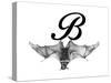 B is for Bat-Stacy Hsu-Stretched Canvas