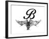 B is for Bat-Stacy Hsu-Framed Art Print