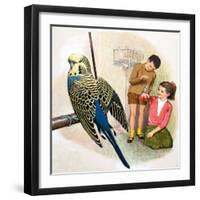 B Is for Budgerigars, Illustration from 'Treasure'-Clive Uptton-Framed Premium Giclee Print