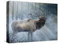 Stretched Canvas