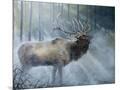 Wood Mount