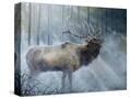 Stretched Canvas