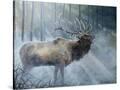Stretched Canvas