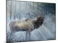 Wood Mount